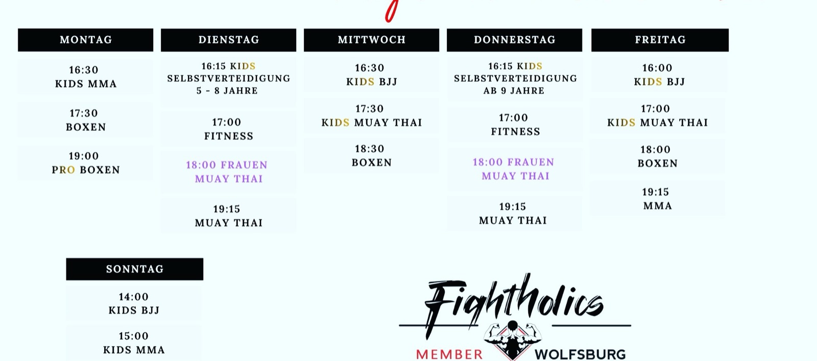 Aktueller Fightholics-Trainingsplan mit allen Kurszeiten